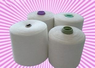 1000D-2000D high tenacity Spun Polyester Yarn Virgin 20S Raw White