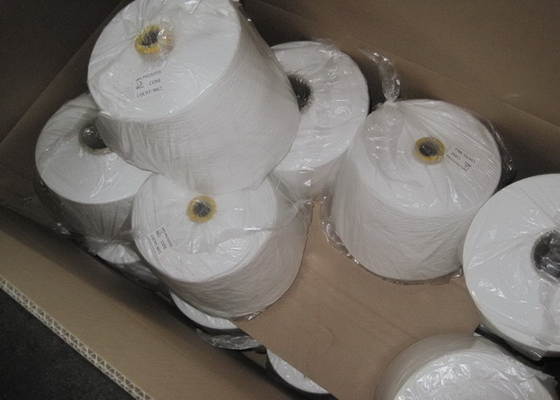 60s/3 100% Polyester Sewing Yarn , Raw White For Embroidery
