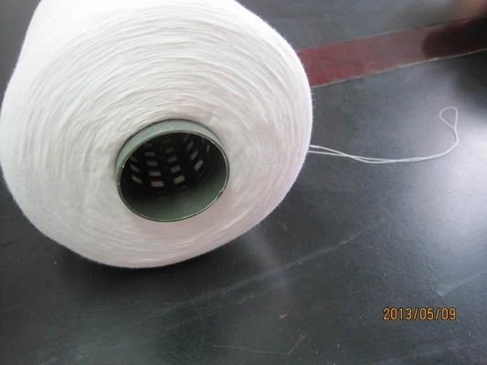 60s/3 100% Polyester Sewing Yarn , Raw White For Embroidery