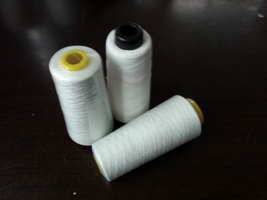 30s/2 Polyester Ring Spun Yarn
