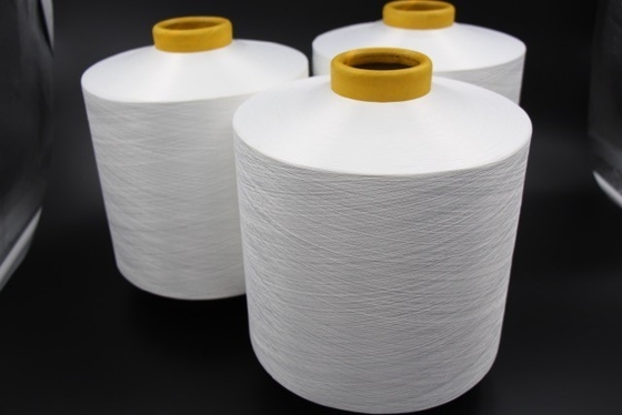 Raw White 100% Polyester Weaving Yarn NIM SD AA Grade DTY 250D/96F