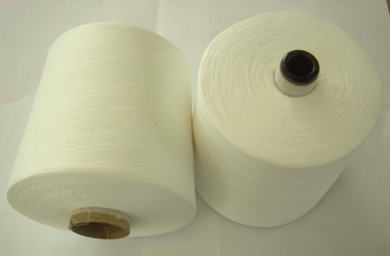 Polyester Yarn