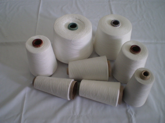 Polyester Raw White Yarn